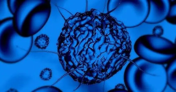 stem-cell-recherche-traitement
